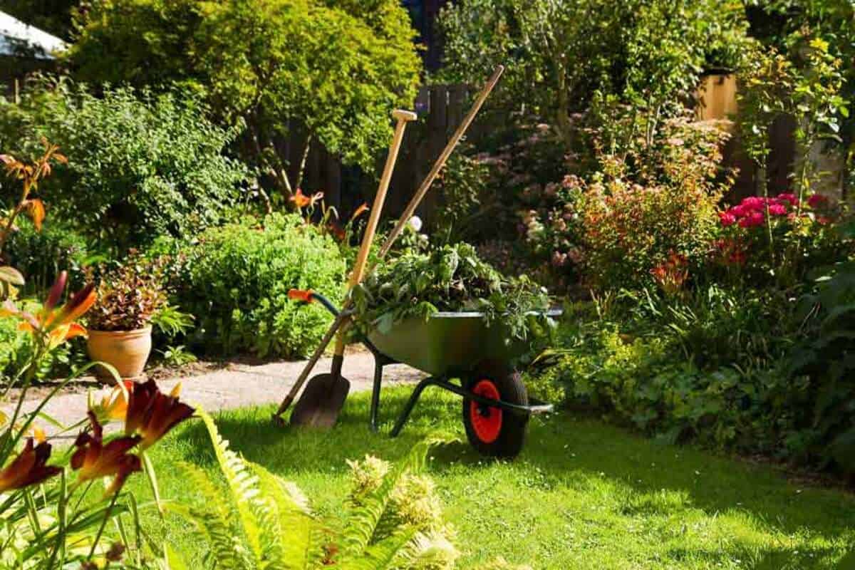 Find What An Expert Has To Say On The Commercial Garden Maintenance Services
