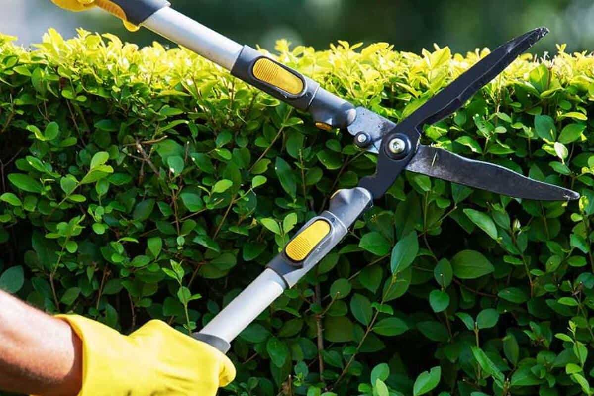 Commercial Grounds Maintenance – What You Must Be Aware Of