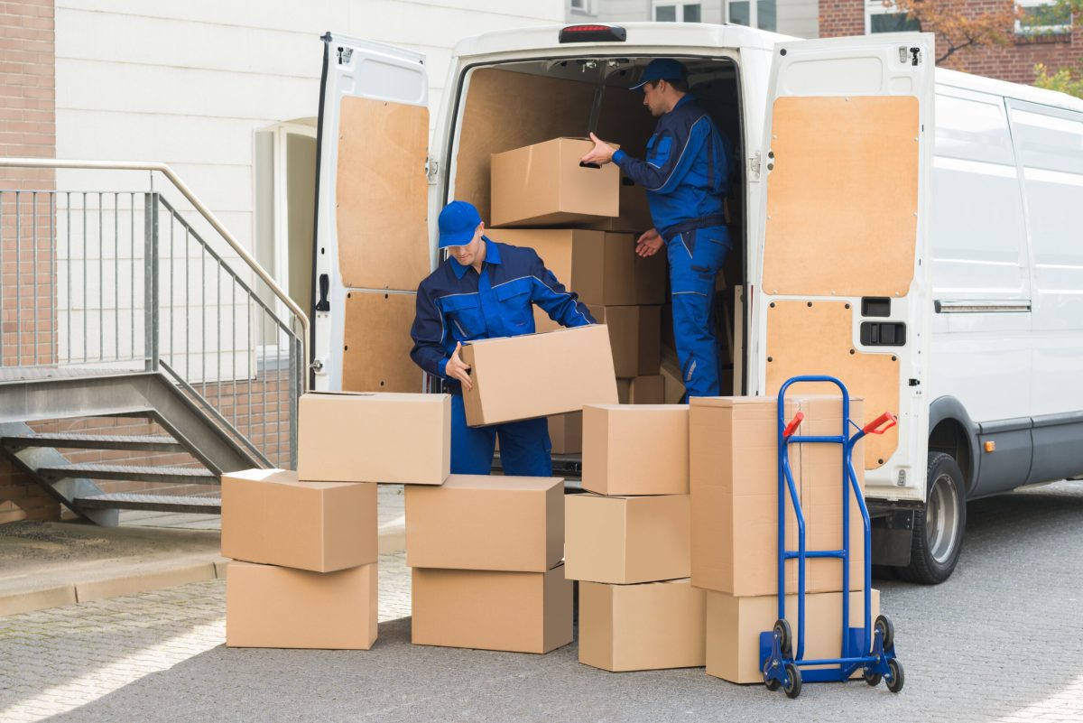 Detailed Report On Removals Service