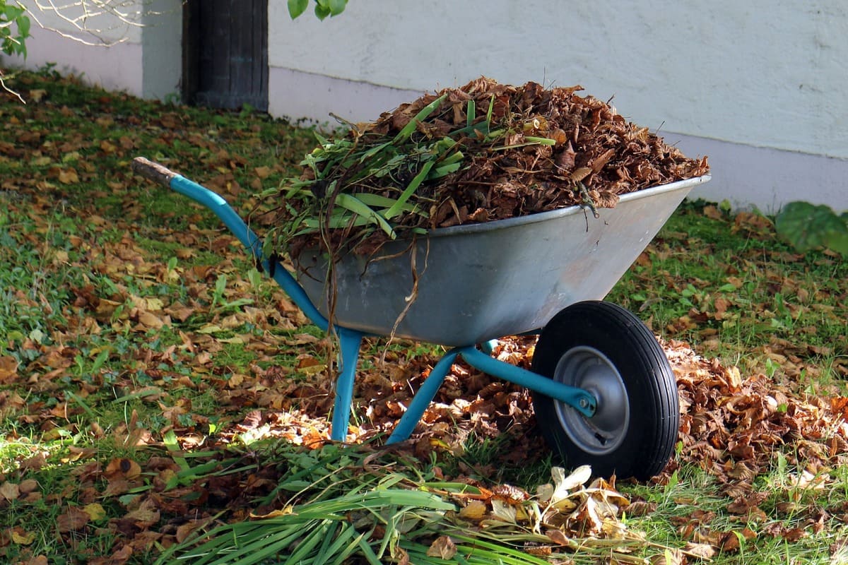 Find Out What A Pro Has To Say About The Garden Waste Collection