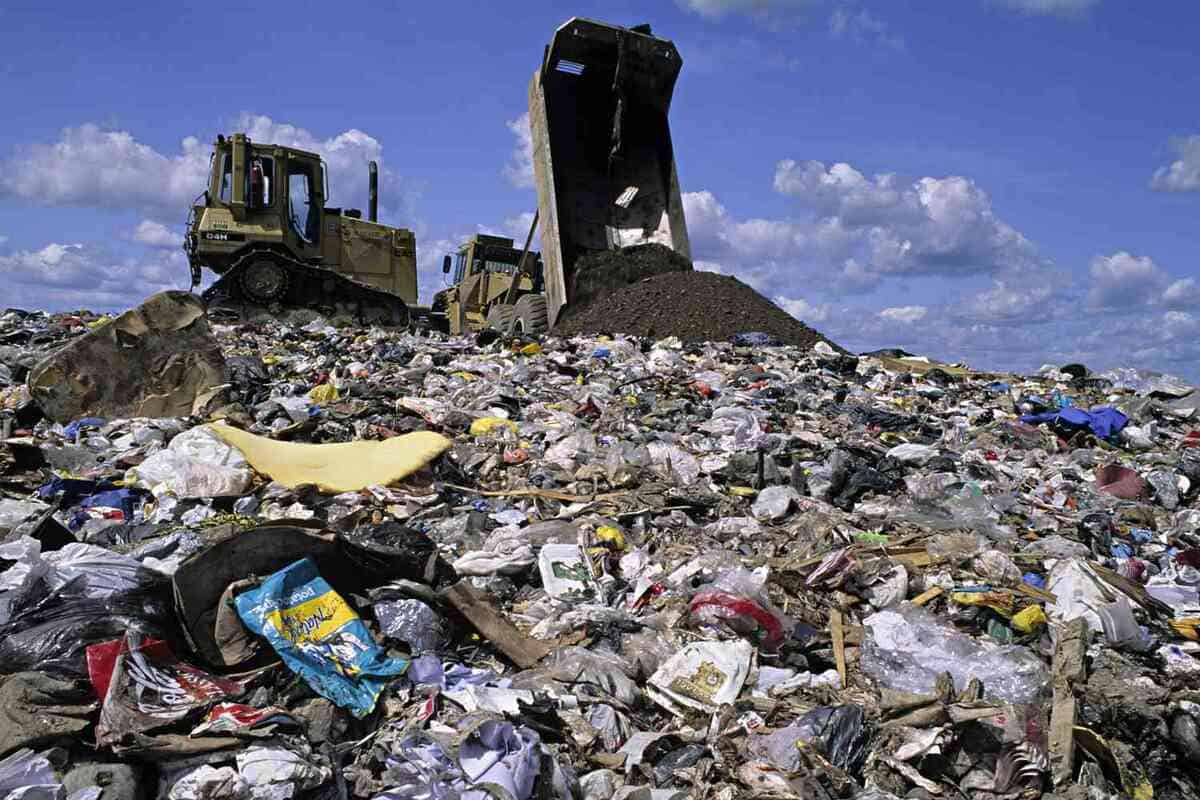 Waste Removal  – Find The Simple Facts About Them
