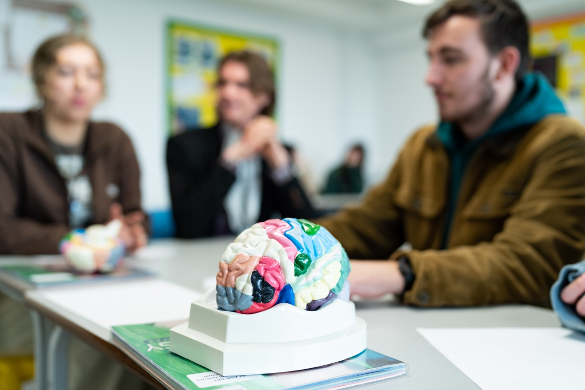 Information On Forensic Consulting Services