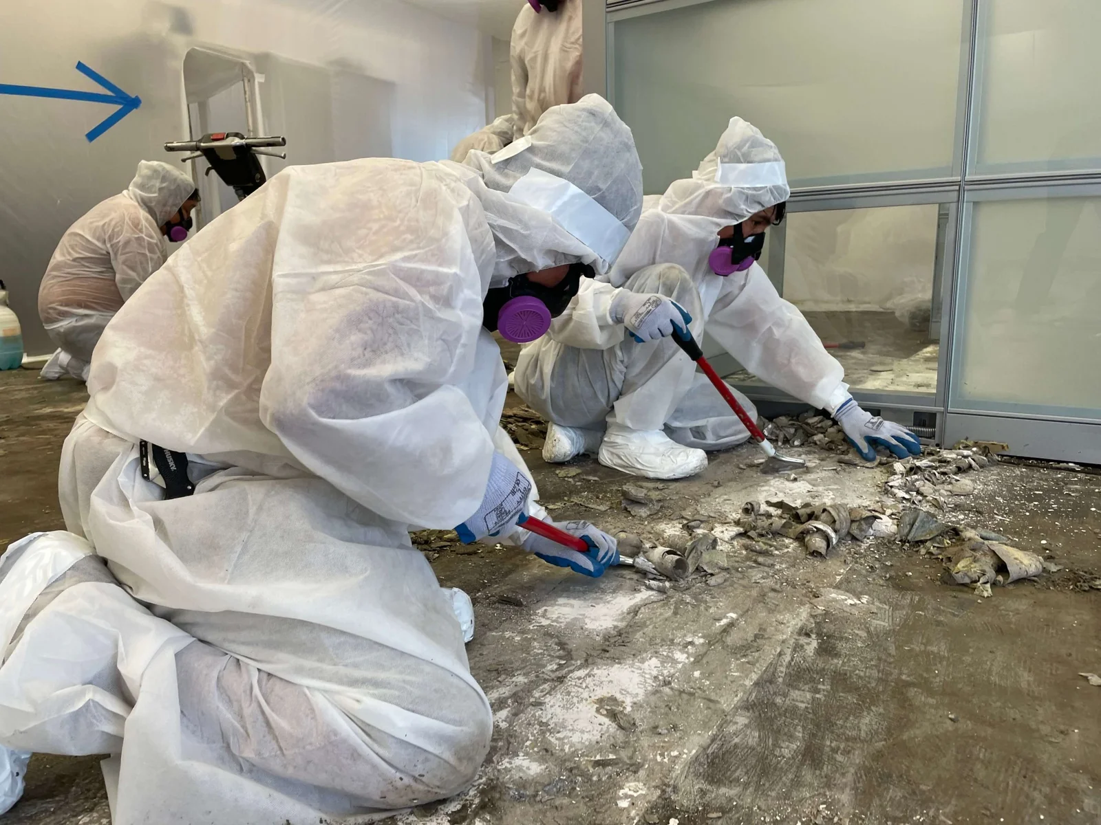 The Value Of Professional Environmental Services